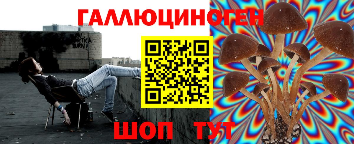 Черемхово  Псилоцибиновые грибы мицелий  Вход с VPN  Псилоцибиновые грибы Magic Shrooms 